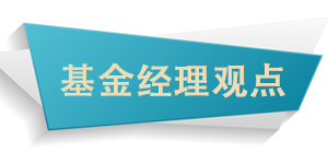 基金經(jīng)理觀點.png 基金經(jīng)理觀點.png